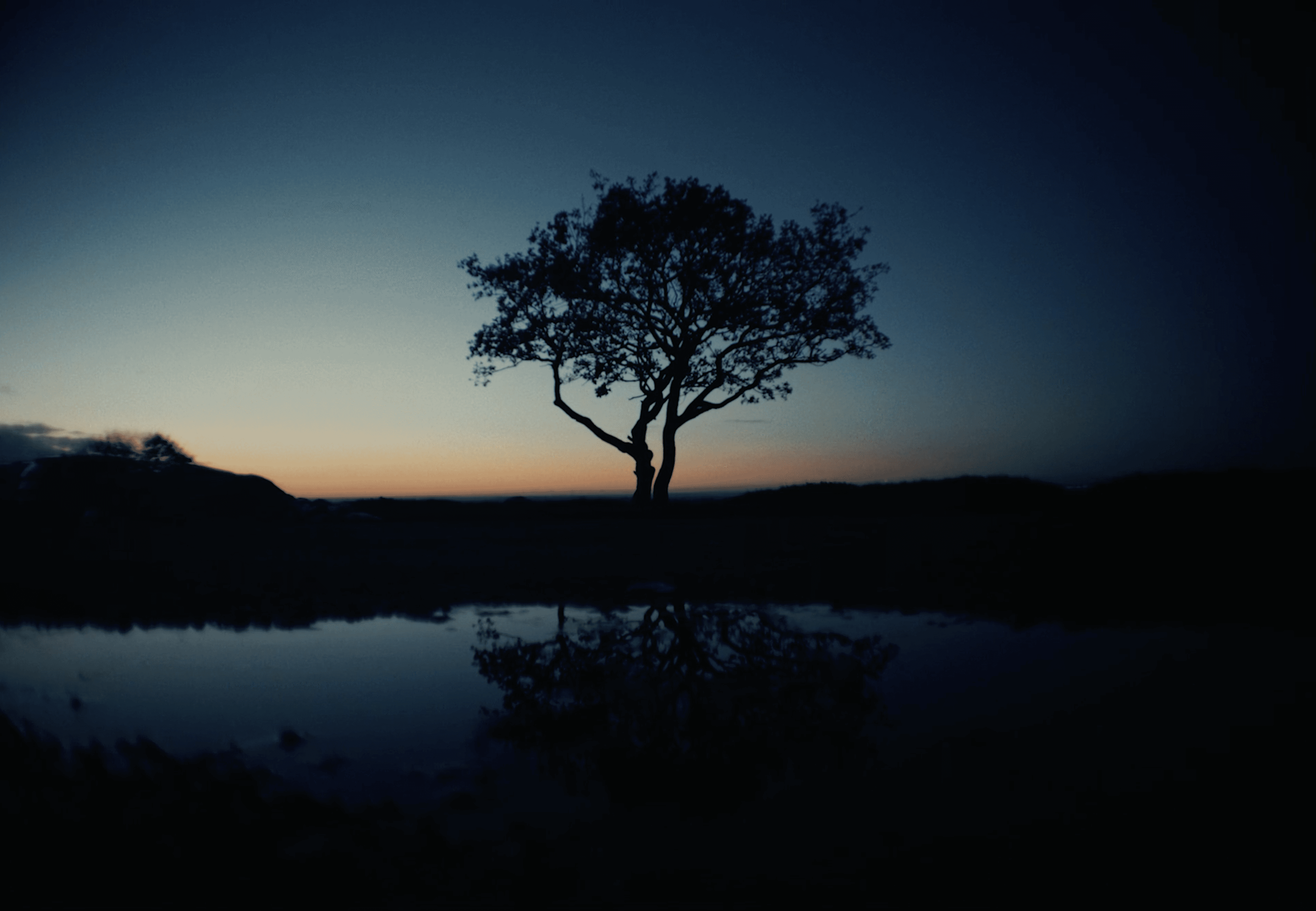 MILES BEYOND REMISSION — still frame